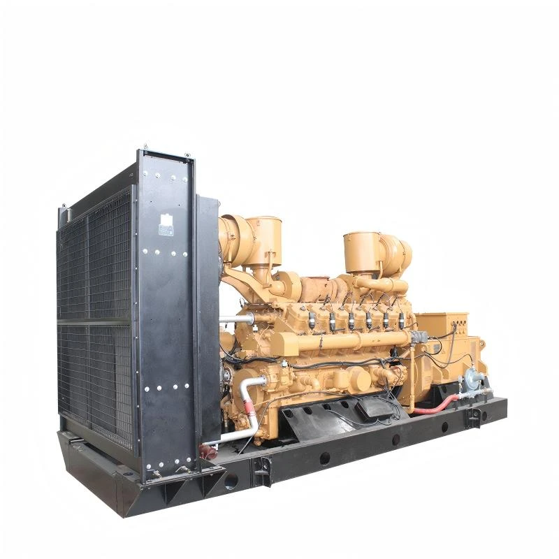 Генератор газового биогаза мощностью 800 кВт, работающий на сжиженном газе, 1000 кВт