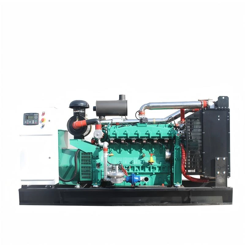 Генератор газового биогаза мощностью 200 кВт на сжиженном газе мощностью 250 кВт