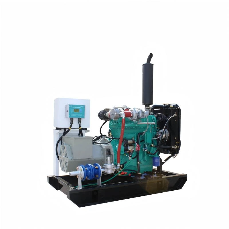 Генератор газового биогаза мощностью 20 кВт на сжиженном газе мощностью 30 кВт